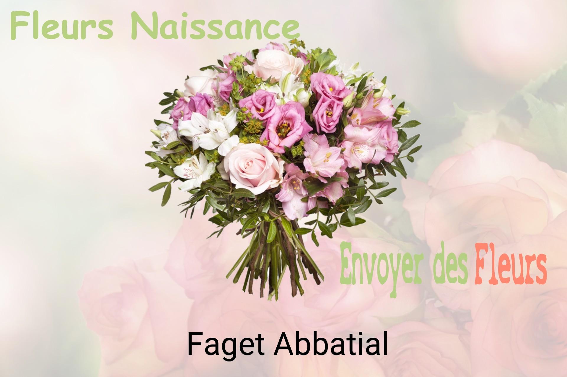 Bouquet de fleurs de naissance livré à Faget-Abbatial